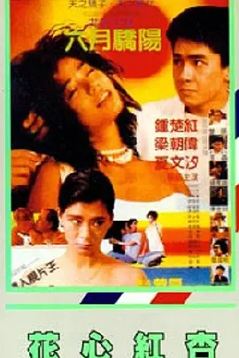 精品福利一区二区三区免费视频