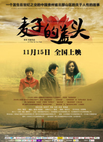 国产亚洲精品hd网站